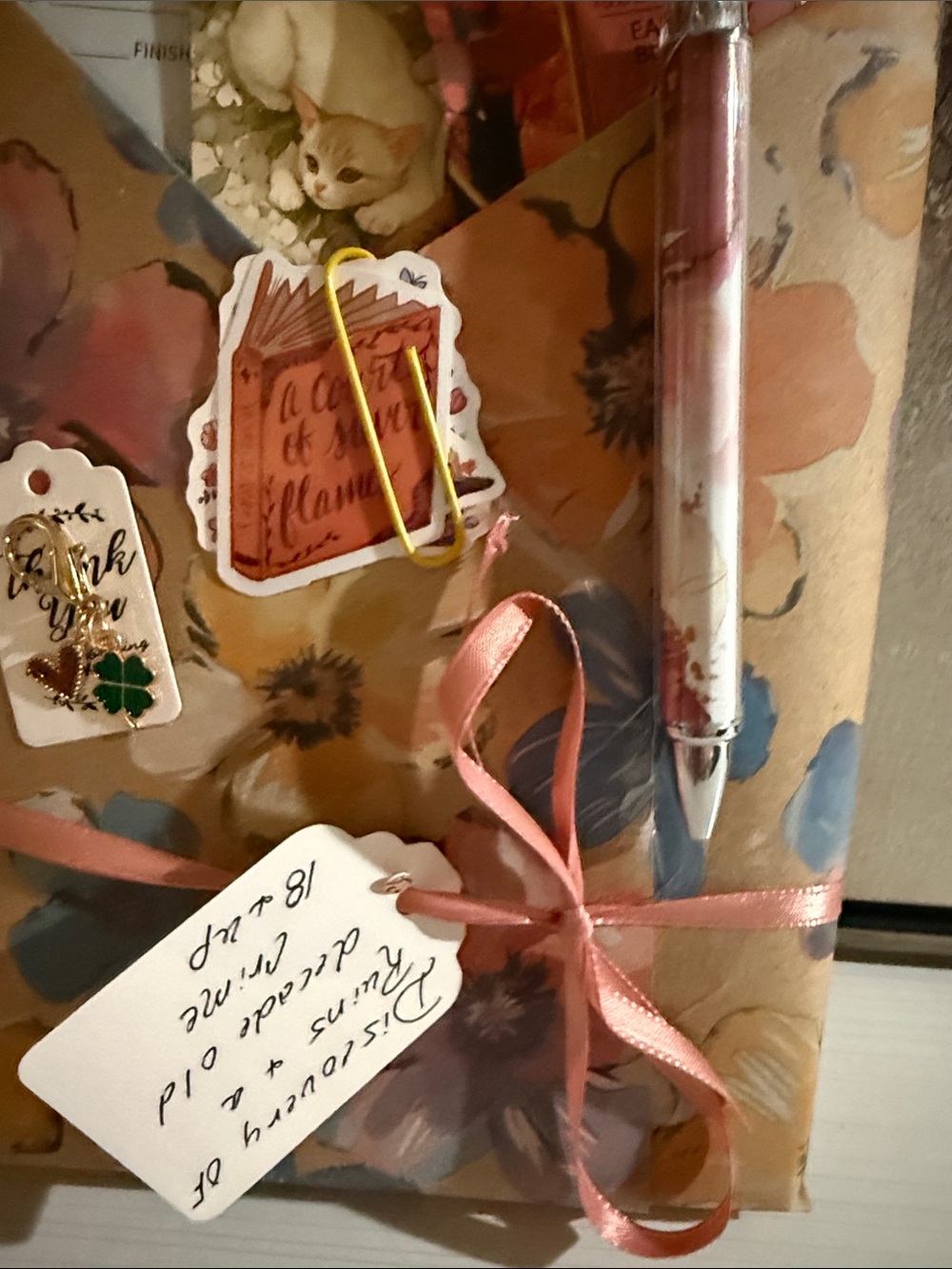 Blind date with a book “discovery of ruins and a decade old crime” ages 18 & up - Picture 3 of 3